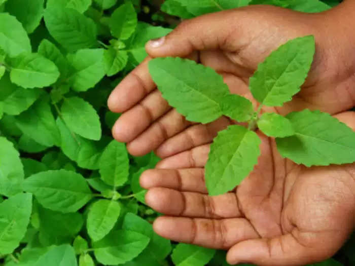 Natisala की की के के लिए लिए लिए कृतिक e dam ramar ha बन की विधि विधि विधि विधि