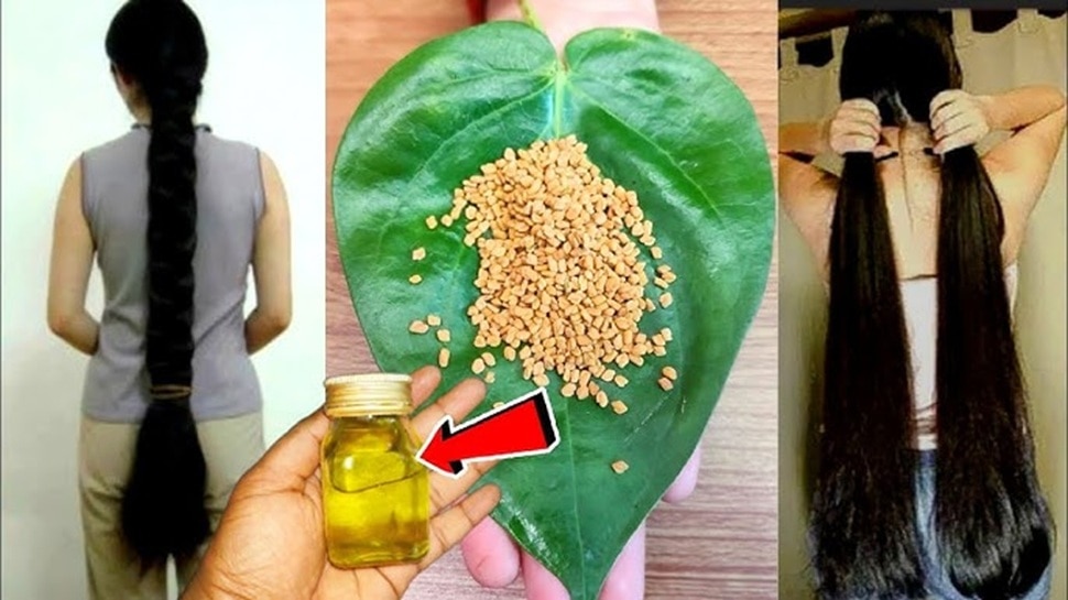 केस डाईला नाही म्हणा! हे सुपारीची पाने, 5 मिनिटांत पांढरे केस आणि टक्कल डोक्यावर जाड केस देखील! 11 516747 केसांसाठी सुपारीचे पान 6