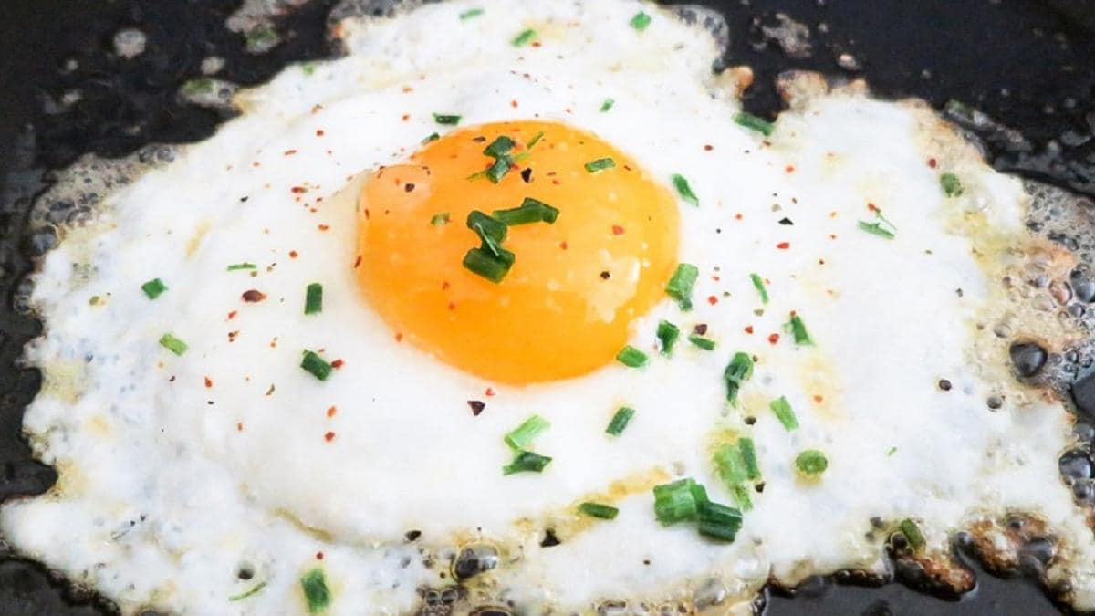 अंडी पाककला पद्धती: उकळताना किंवा अंडी तळताना आपण ही मोठी चूक करत नाही? योग्य मार्ग जाणून घ्या - अंडी स्वयंपाक करण्याच्या पद्धती सर्वात वाईट चुका