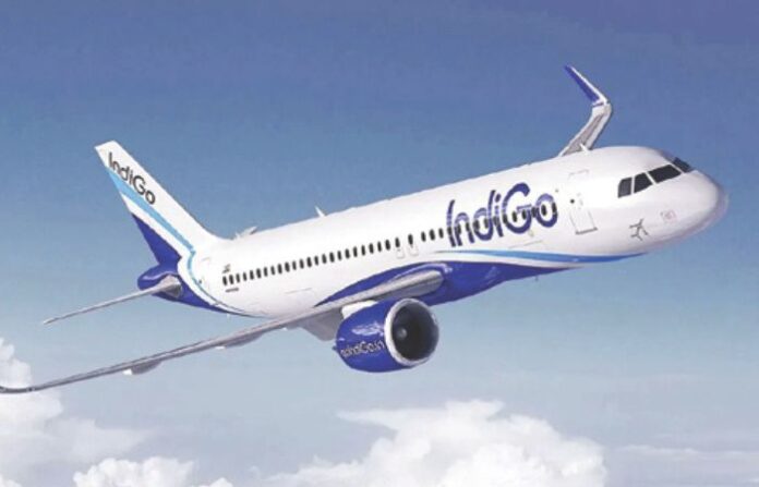 indigo