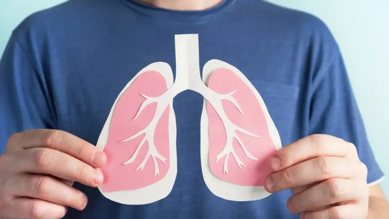 फुफ्फुसांच्या साफसफाईसाठी या 4 सोप्या मार्गांचे अनुसरण करा: फुफ्फुस डिटॉक्स टिप्स