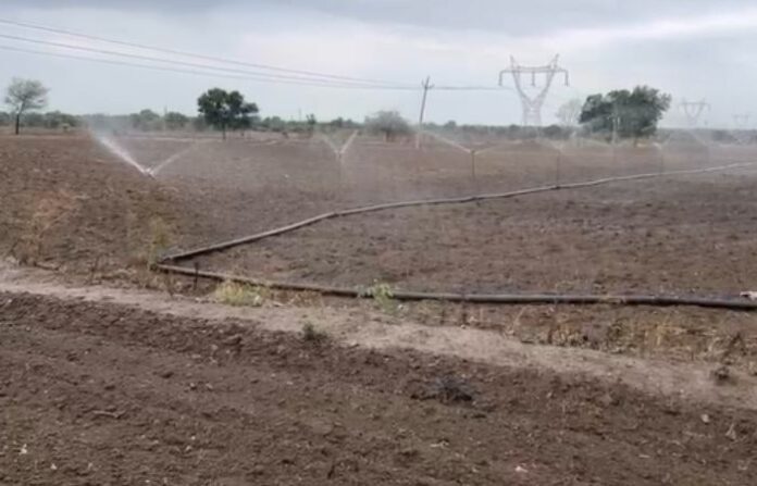 चंद्रपूर पाऊस नाही चंद्रपूर पाऊस नाही