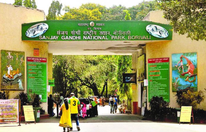 sanjay-gandhi-national-park1