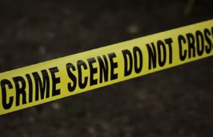 crime news