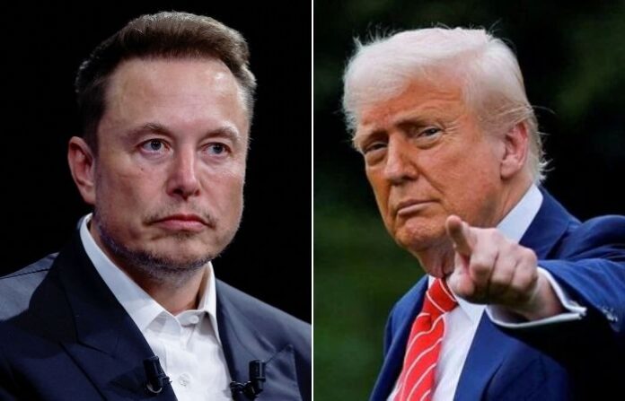 elon musk donald trump
