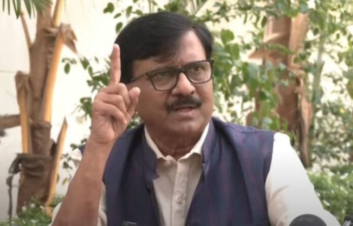 sanjay raut on fadnvis