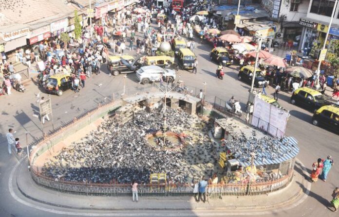 Kabutar Khana