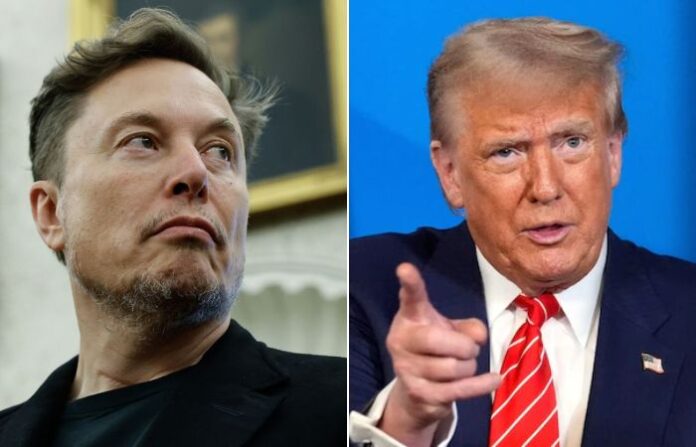 donald trump elon musk