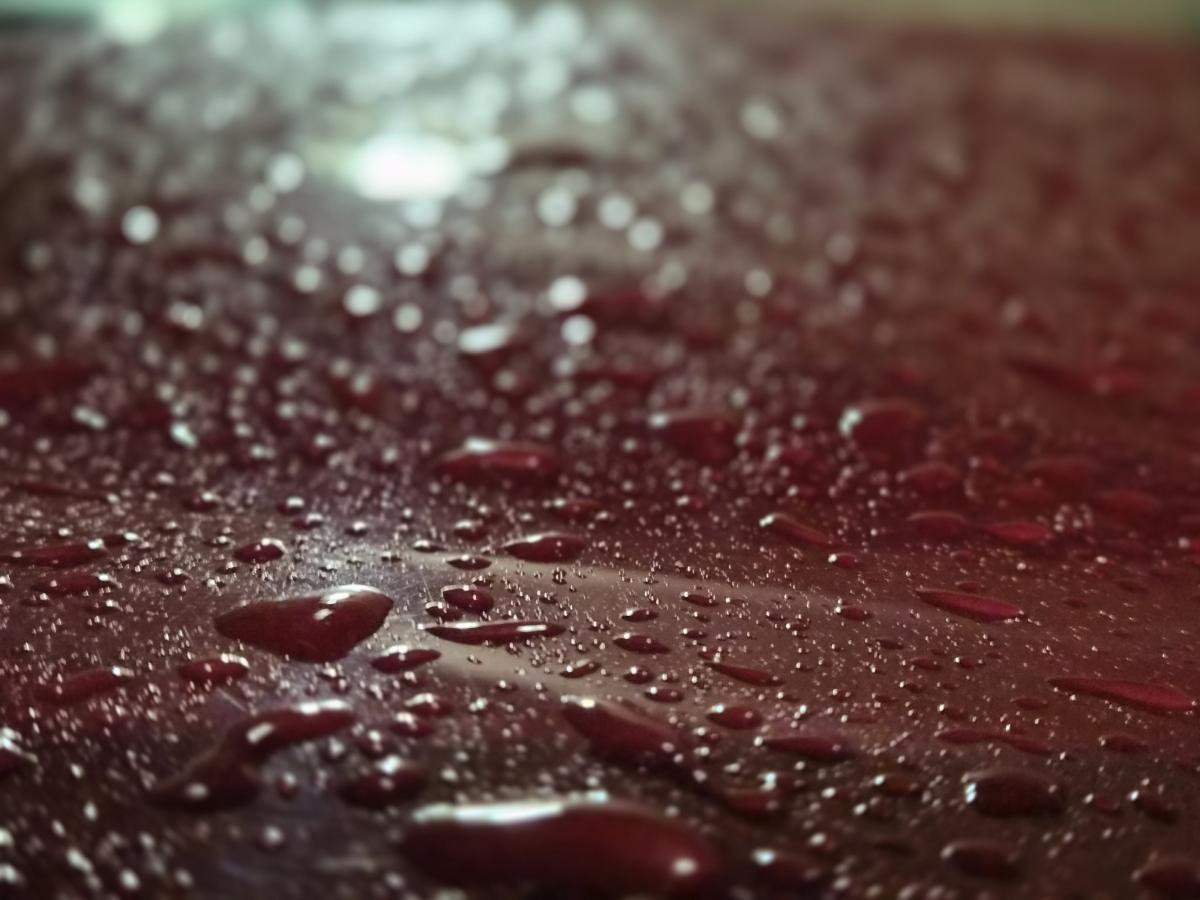 सॅमसंग गॅलेक्सी झेड फ्लिप 7 वर शॉट: क्लोजअप तपशील
