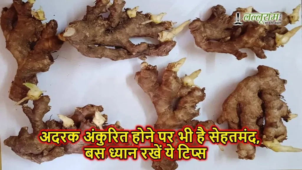 अंकुर आले
