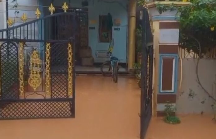 chandrapur (2)