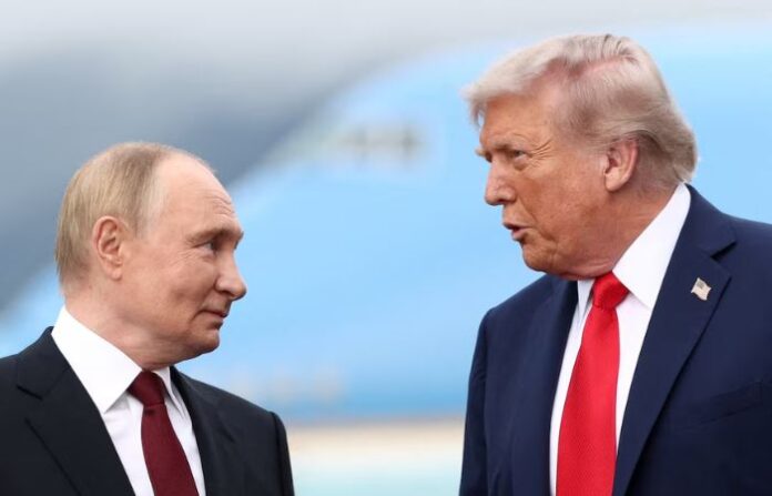 donald trump and putin