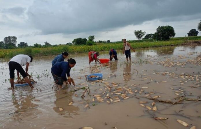 Jalna Rain News