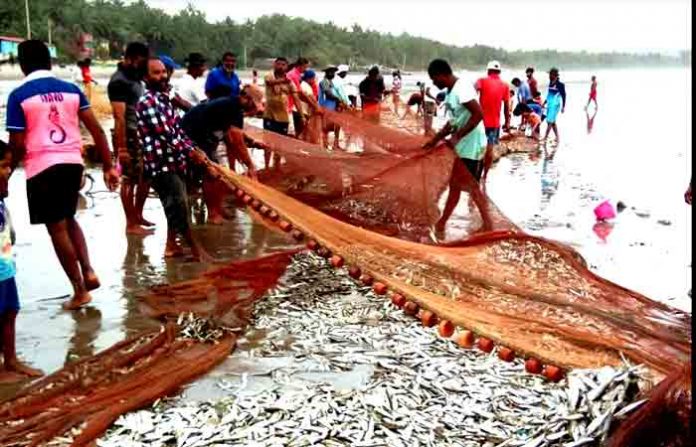 fishing-malvan