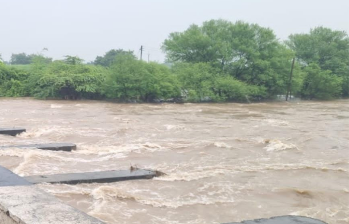 latur (3)