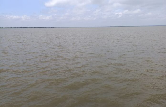 manjara