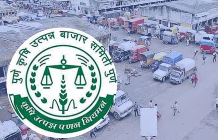 pune apmc