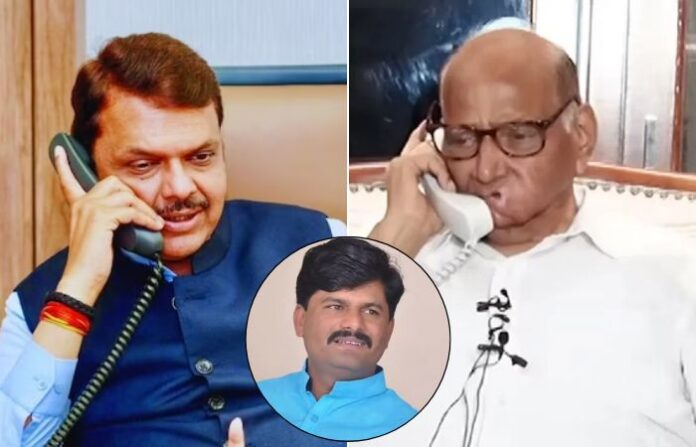 sharad pawar devendra fadnavis