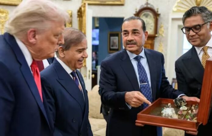 trump munir