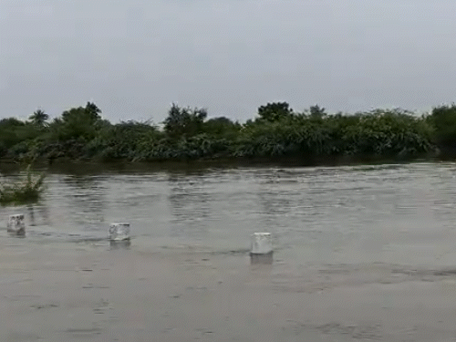सोमवारी गुजरातच्या द्वारका येथे कल्याणपूरला पोरबँडरशी जोडणारा राज्य महामार्ग बुडाला.