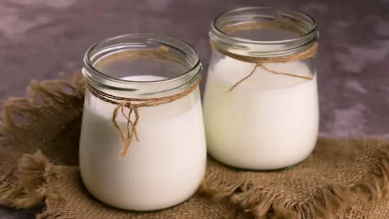 चमकणारी त्वचा, चांगली झोप आणि संपूर्ण आरोग्यासाठी बकरीच्या दुधाचे आश्चर्यकारक फायदे शोधा