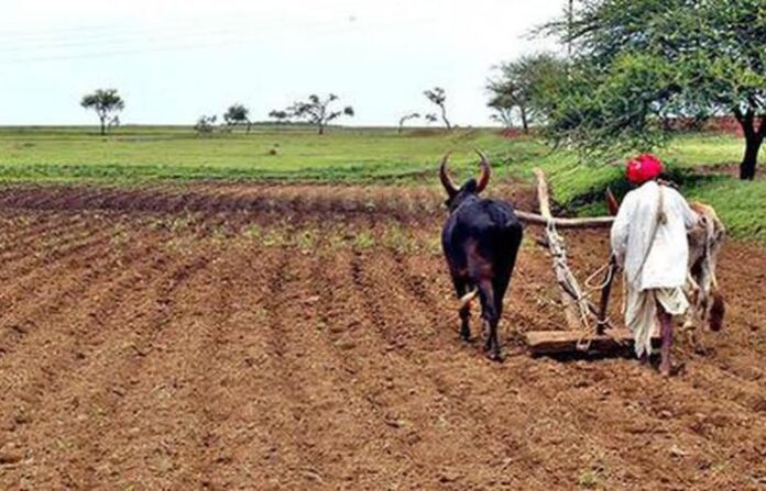 farmer
