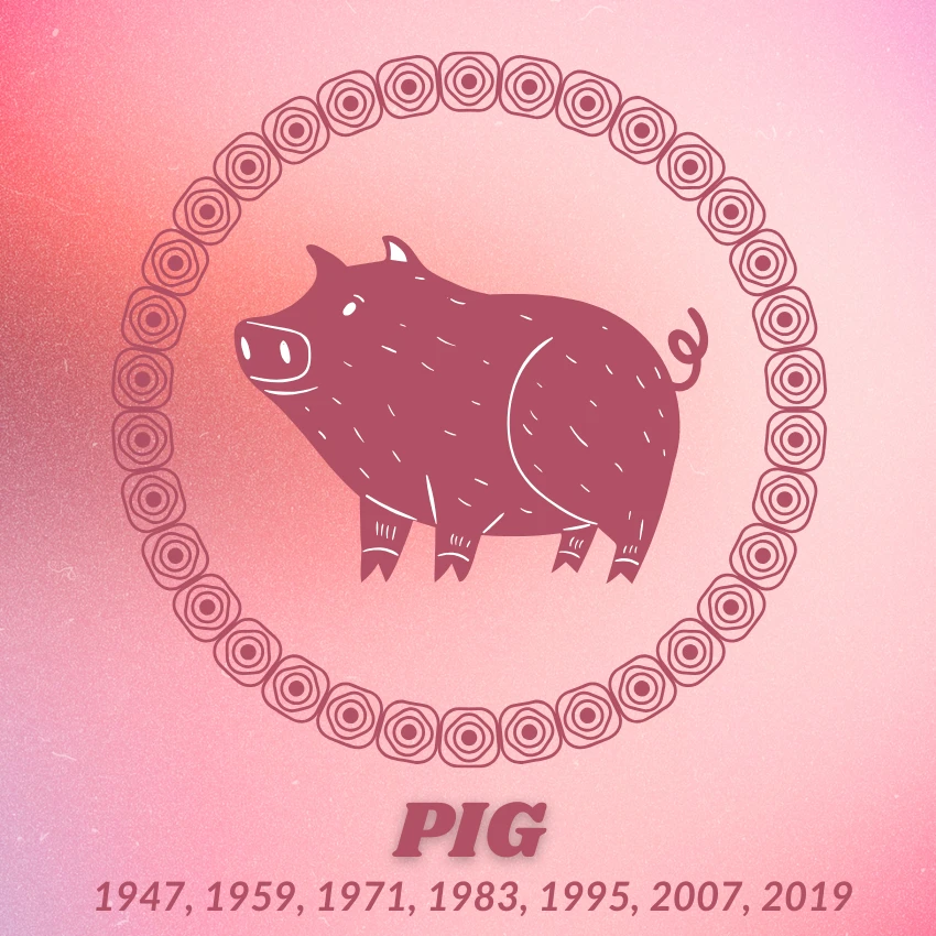 डुक्कर चायनीज राशीचक्र शुभ नशीब 28 ऑक्टोबर 2025 डुक्कर चायनीज राशीचक्र शुभ नशीब 28 ऑक्टोबर 2025
