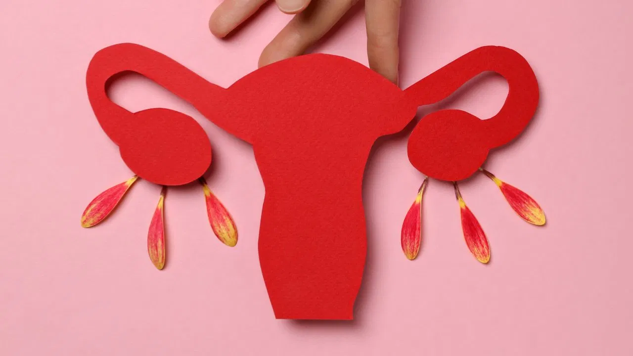 यामुळे अंडाशयाशी संबंधित समस्यांचा धोका वाढतो. ज्यामुळे अंडाशयात सिस्ट्स आणि इन्फेक्शन होऊ शकते. या गोष्टींमुळे PCOD आणि PCOS सारख्या समस्याही वाढू शकतात. बहुतेक महिलांना याची माहिती नसते. त्यांनी त्यांच्या अंडाशयाच्या आरोग्याची काळजी कशी घ्यावी? तर याविषयी सविस्तर जाणून घेऊया.