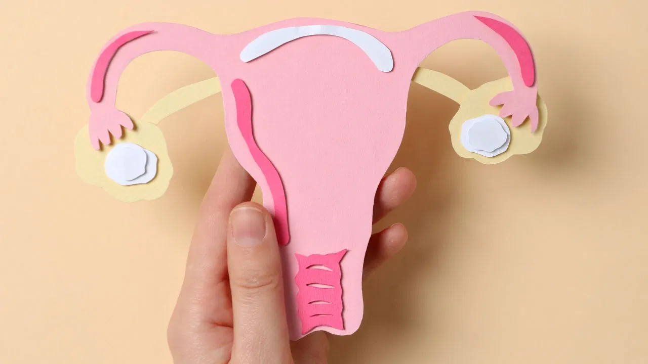 अंडाशय निरोगी ठेवण्यासाठी व्यायाम फायदेशीर आहे. तसेच रोज व्यायाम करण्याची सवय लावा. व्यायामामुळे वजन नियंत्रणात तर राहतेच पण प्रजनन अवयवांना रक्तपुरवठाही सुधारतो. ज्यामुळे अंडाशय योग्यरित्या कार्य करतील.