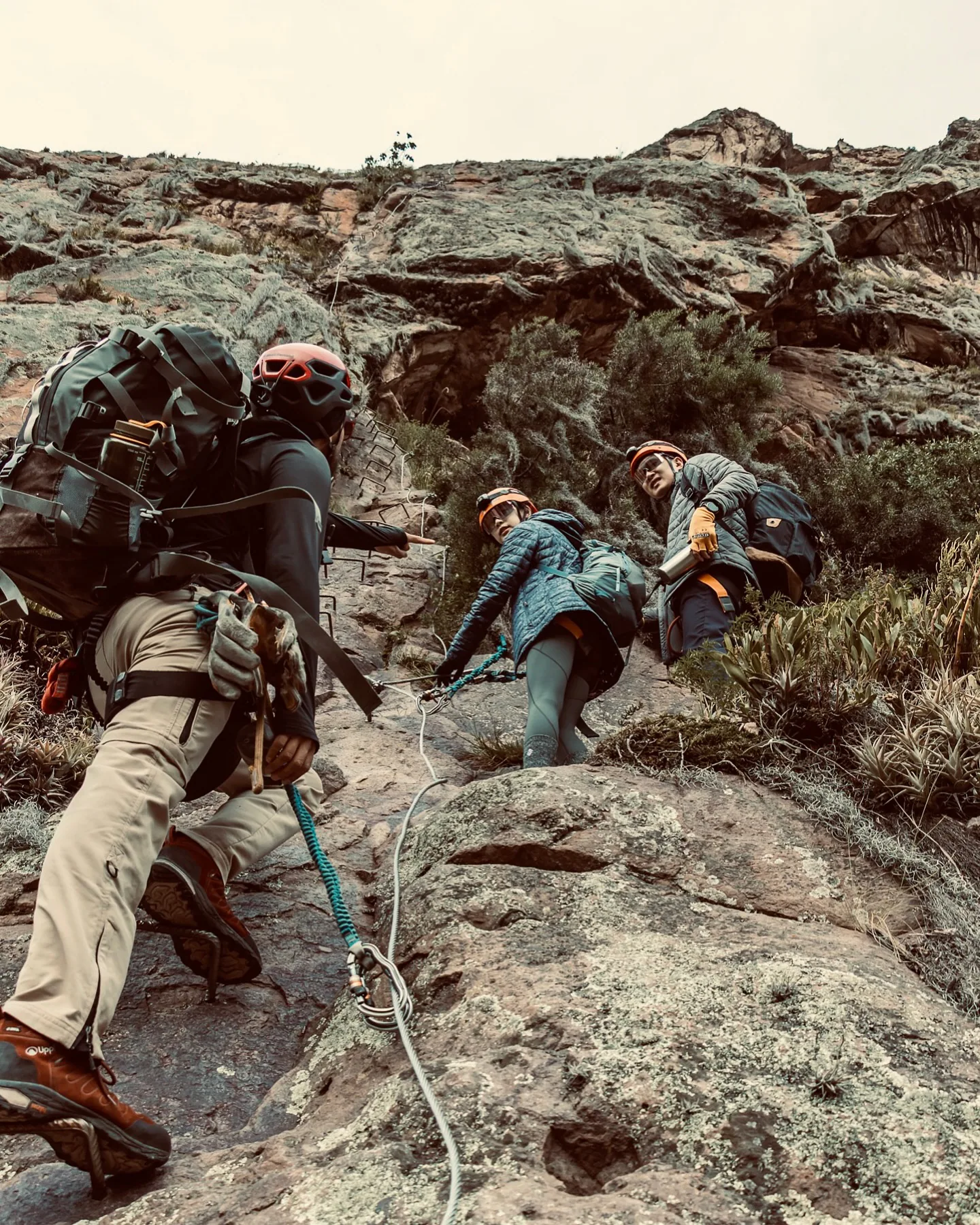 हॉटेलमध्ये पोहोचलेले पाहुणे. फोटो: Instagram/Skylodge Adventure Suites