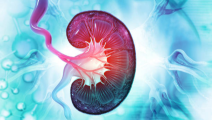 किडनीच्या रुग्णांना बटाटे खाण्याचे तोटे