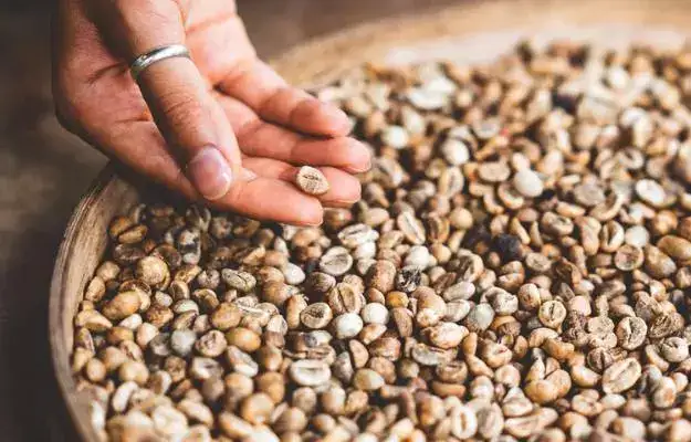 चिरोंजी : सुक्या मेव्याचे फायदे आरोग्यासाठी फायदेशीर