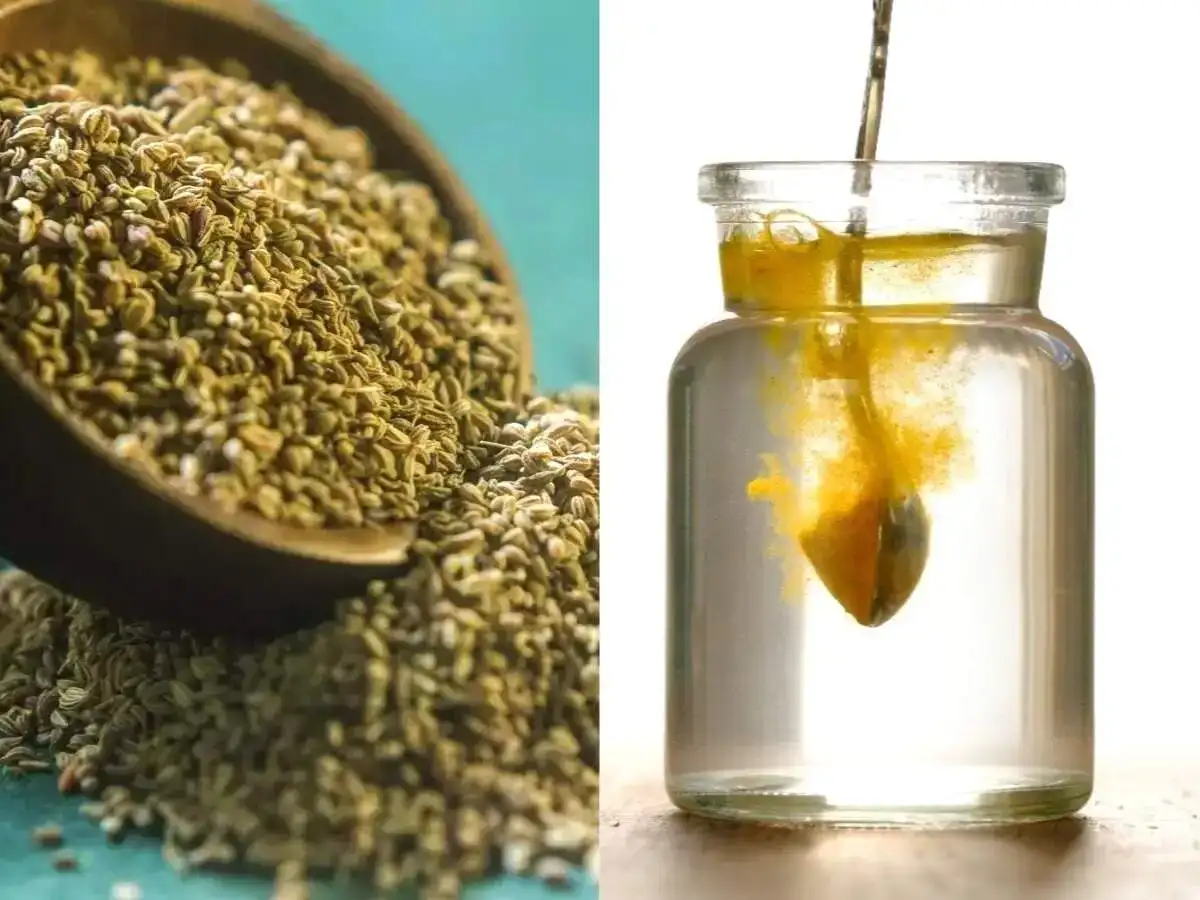 सेलरीचे आश्चर्यकारक आरोग्य फायदे: वजन कमी करण्यापासून ते पचन सुधारण्यापर्यंत