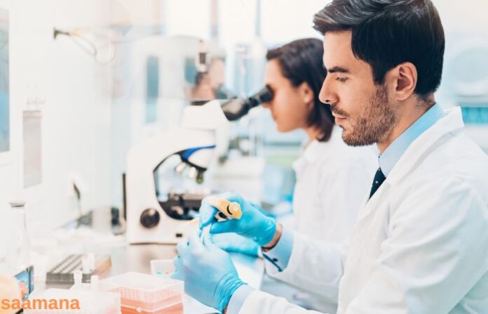 laboratory