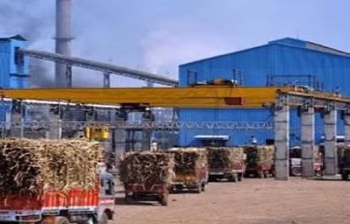 sahyadri sugar factory