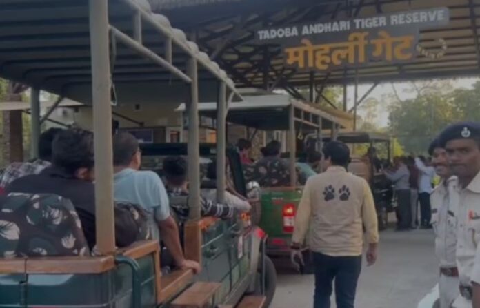 tadoba