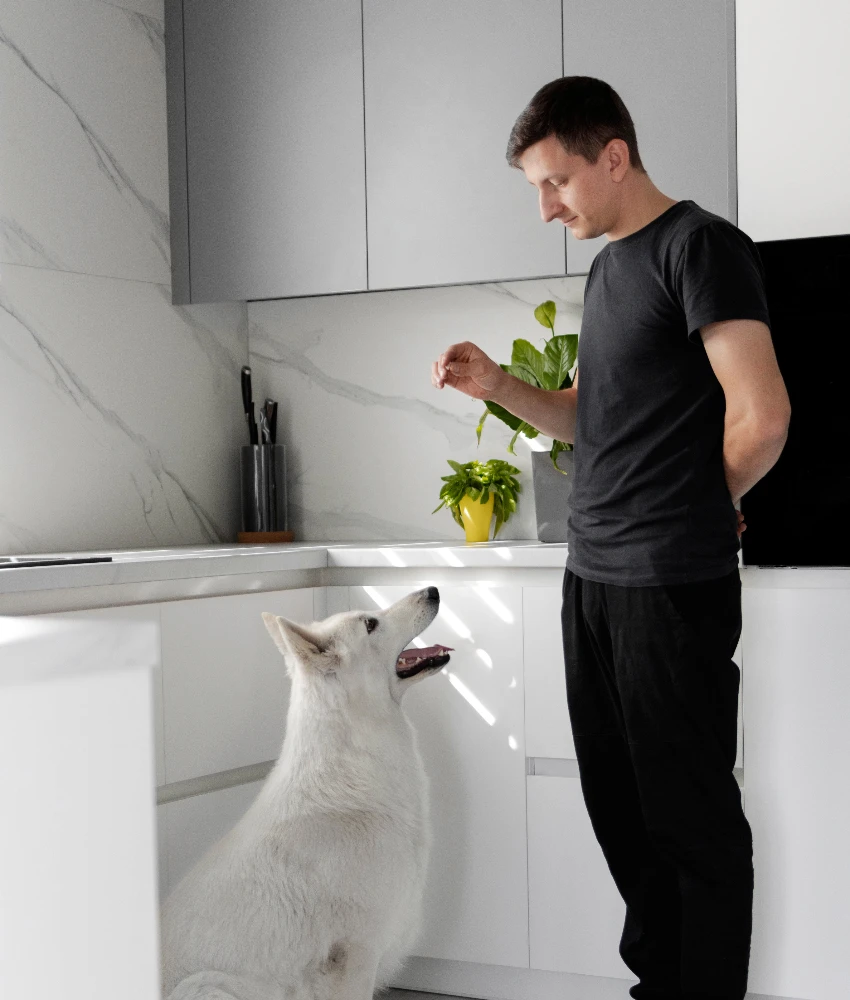 कुत्रा मालक प्रशिक्षण कुत्रा