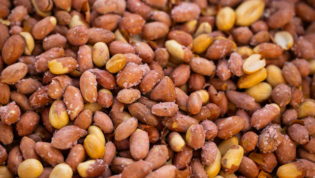 NDTV वर ताज्या आणि ताज्या बातम्या