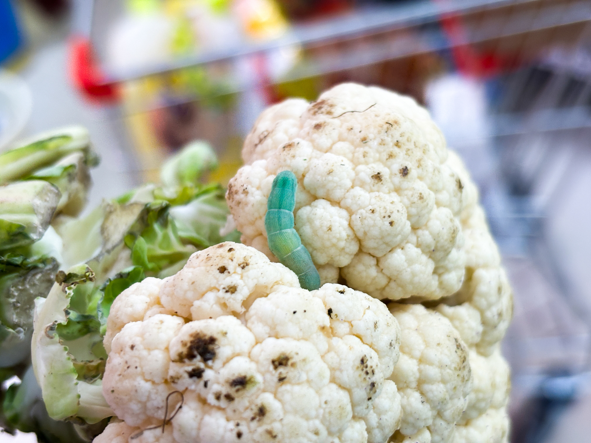 NDTV वर ताज्या आणि ताज्या बातम्या