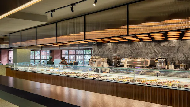 NDTV वर ताज्या आणि ताज्या बातम्या NDTV वर ताज्या आणि ताज्या बातम्या