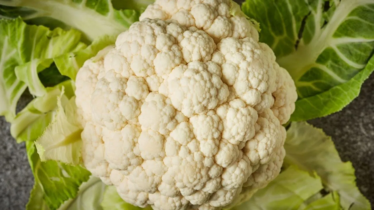 व्हिनेगर किंवा लिंबाचा रस वापरा: व्हिनेगर आणि लिंबू देखील फुलकोबीमधील बग दूर करण्यात मदत करू शकतात. एका भांड्यात पाणी घ्या आणि त्यात 2 चमचे व्हिनेगर किंवा लिंबाचा रस घाला. या पाण्यात फ्लॉवर 10 मिनिटे भिजत ठेवा. व्हिनेगर आणि लिंबाचे आम्लीय गुणधर्म कीटकांना मारतात आणि भाजीतील घाण देखील काढून टाकतात.