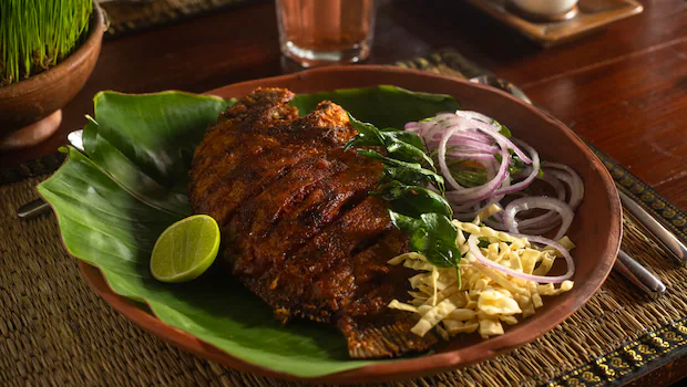 NDTV वर ताज्या आणि ताज्या बातम्या NDTV वर ताज्या आणि ताज्या बातम्या