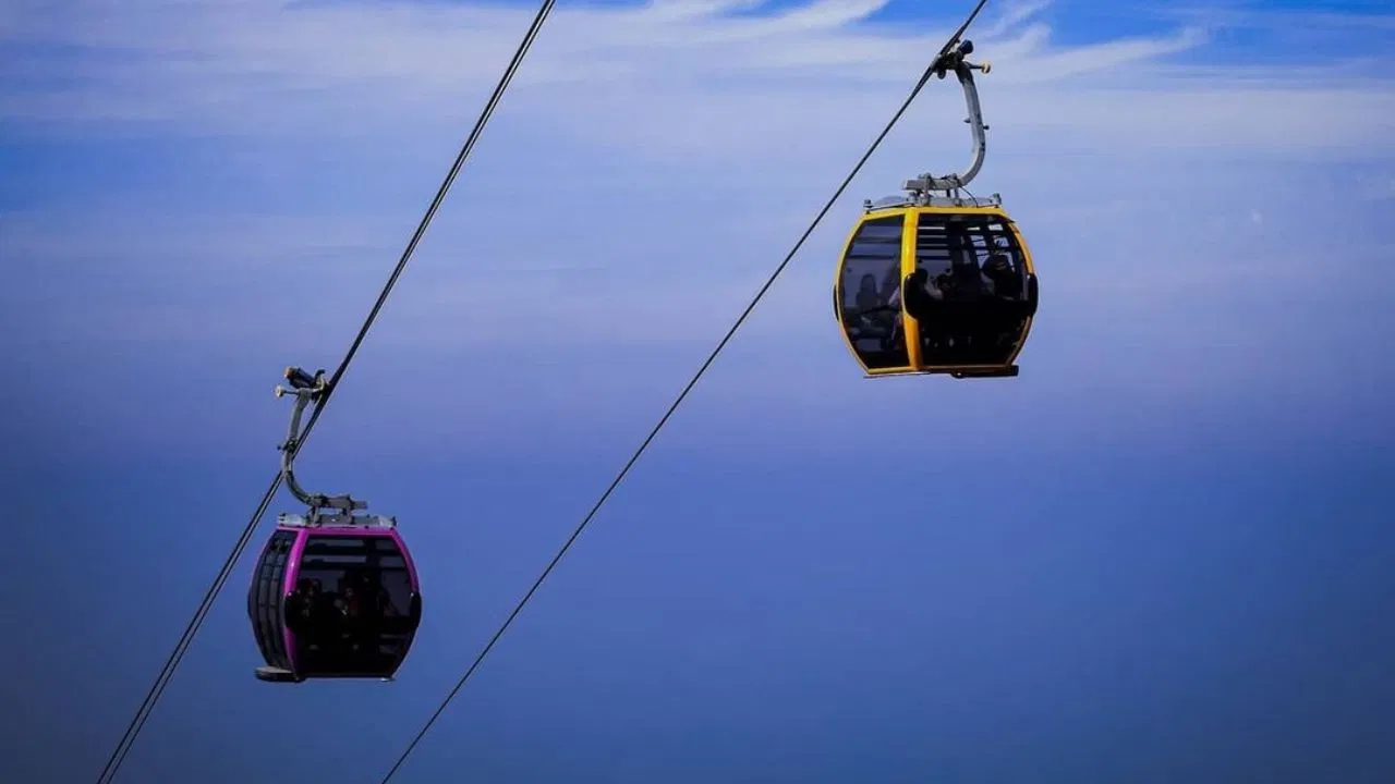 कच्छच्या रणाला भेट देणे हा एक अनोखा अनुभव आहे. उन्हाळा असो, पाऊस असो किंवा हिवाळा असो, हे सर्वात लोकप्रिय ठिकाणांपैकी एक आहे. येथे स्थानिकच नव्हे तर परदेशी पर्यटकही येतात. विशेष म्हणजे कच्छमध्ये दरवर्षी रणोत्सवाचे आयोजन केले जाते. हिवाळ्यात या वाळवंटाचे सौंदर्य काही मिनिटांतच तुम्हाला मंत्रमुग्ध करेल.