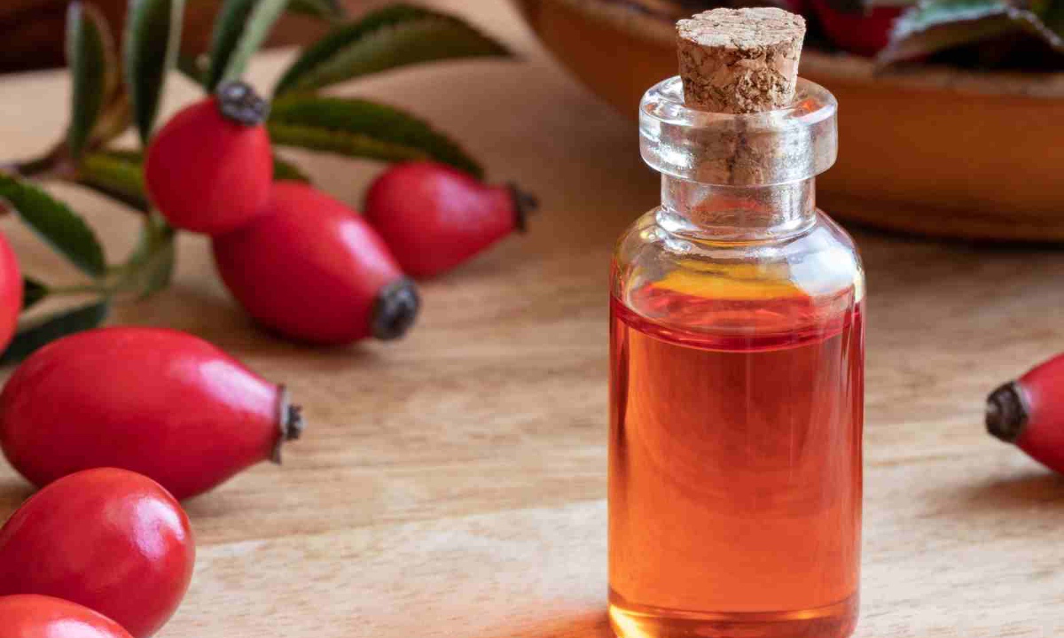 केसांसाठी रोझशिप तेल