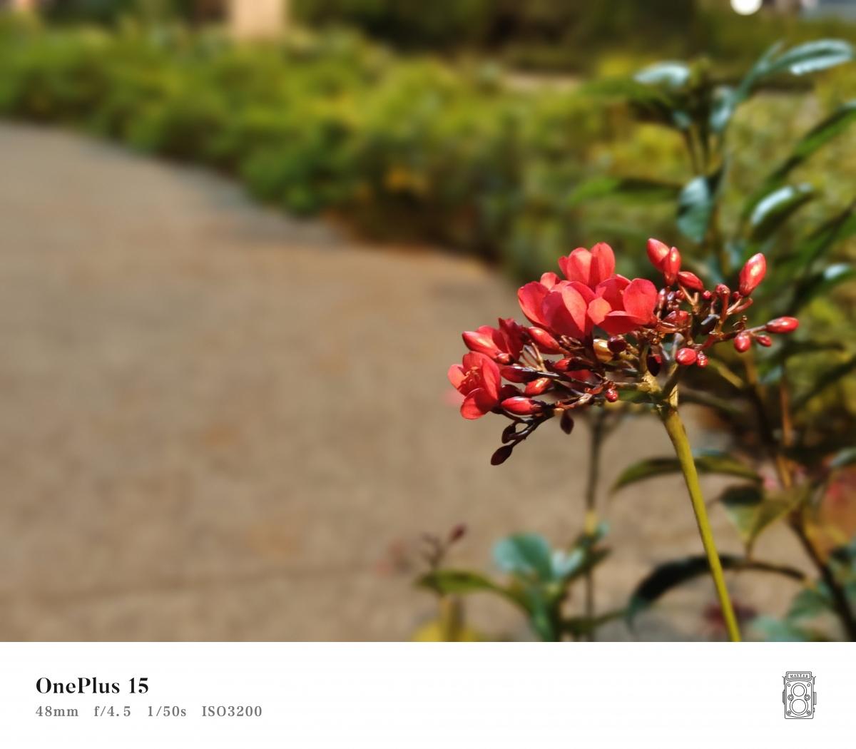 OnePlus 15 वर शूट केले