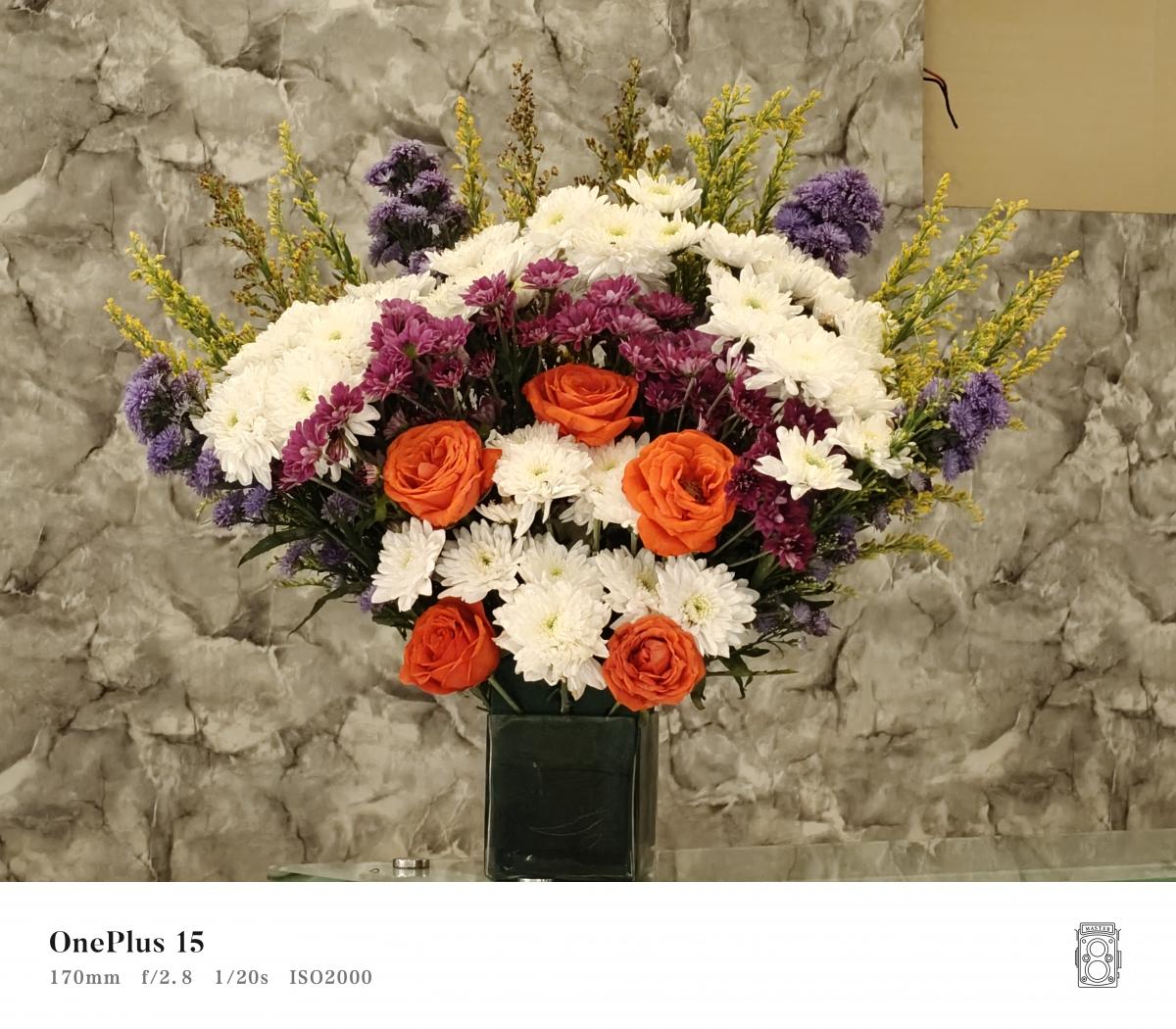 OnePlus 15 वर शूट केले