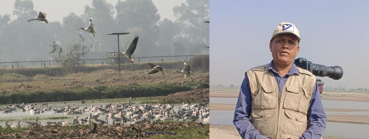 गुलदेव राज