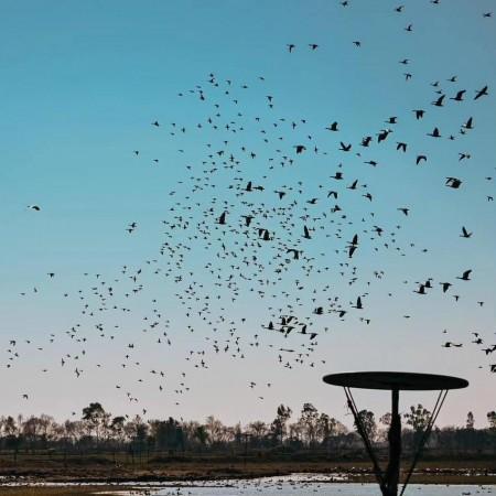 घारणा वेटलँड