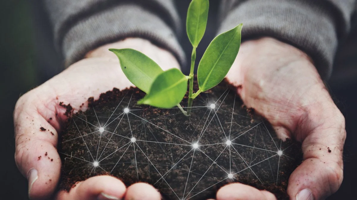 सोनी सिनेको इकोसिस्टम सोनी सिनेको इकोसिस्टम