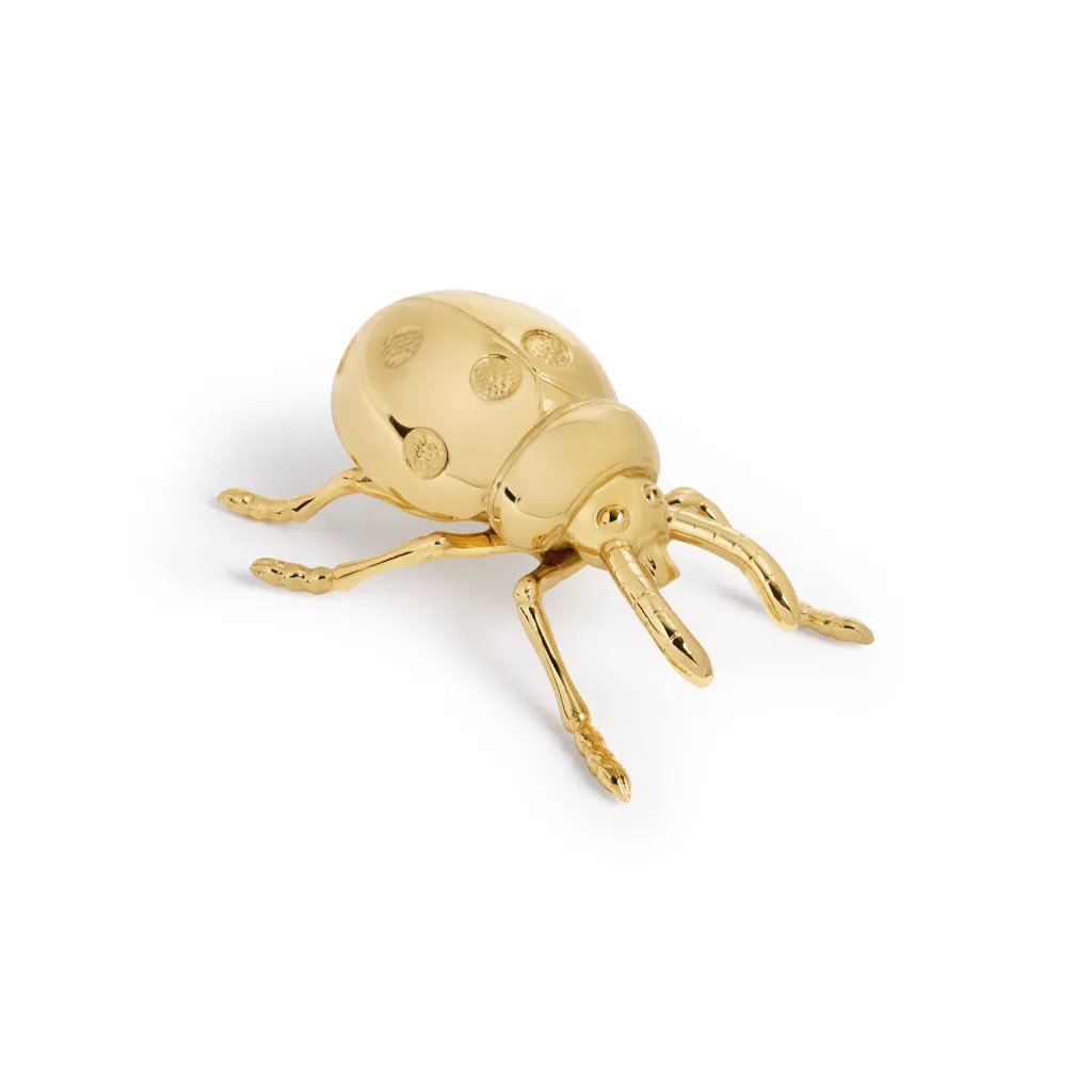 L'Objet लेडीबग बाटली सलामीवीर.